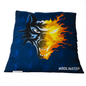 Coussin bleu