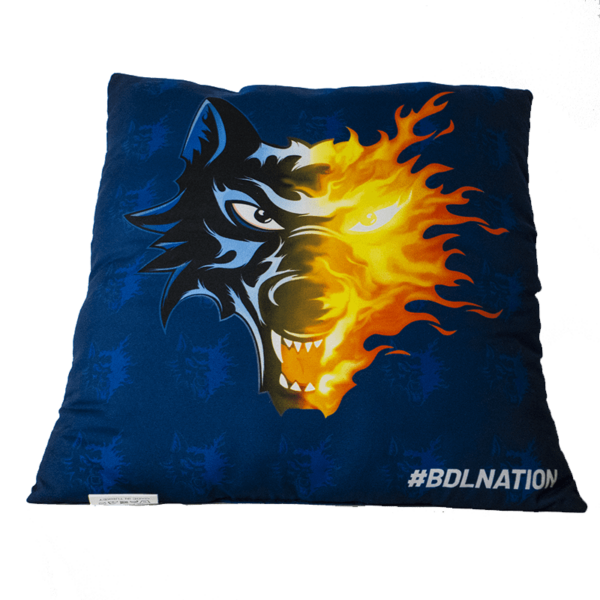 Coussin bleu