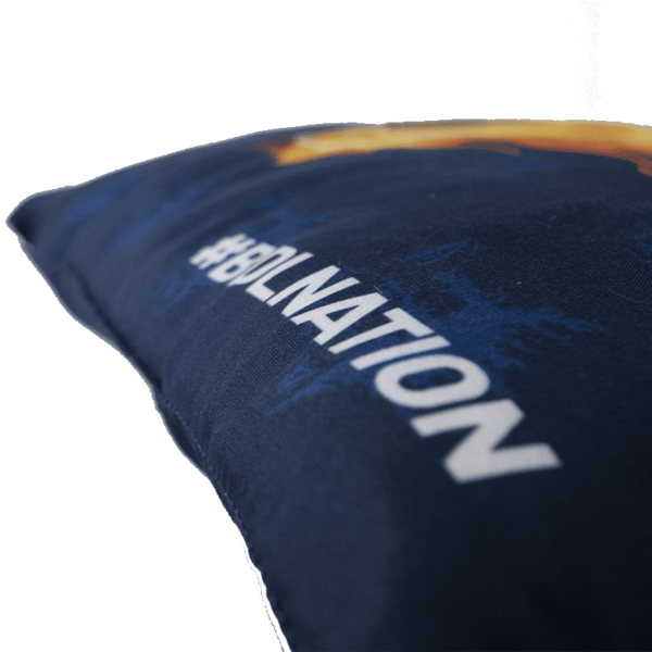 Coussin bleu