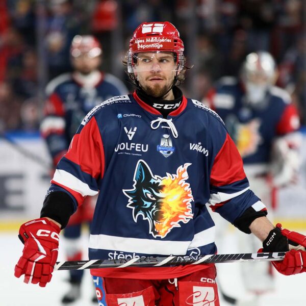 Maillot Replica - Gala - Hardy