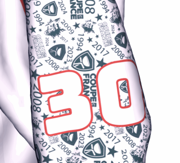 MAILLOT COUPE DE FRANCE EXTERIEUR 25-26 – Image 2