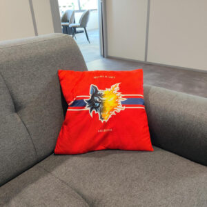 Coussin rouge BDL